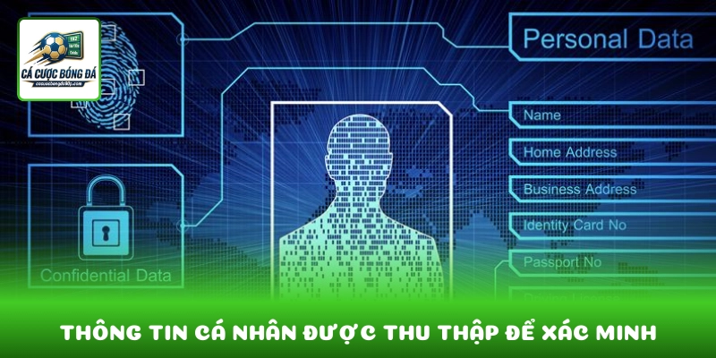 Thông tin cá nhân được thu thập minh bạch để xác minh 