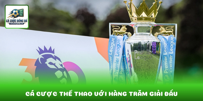 Cá cược thể thao với hàng trăm giải đấu và tỷ lệ cược cạnh tranh