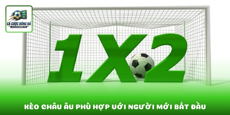 Kèo châu Âu 1X2 đơn giản, phù hợp với người mới bắt đầu