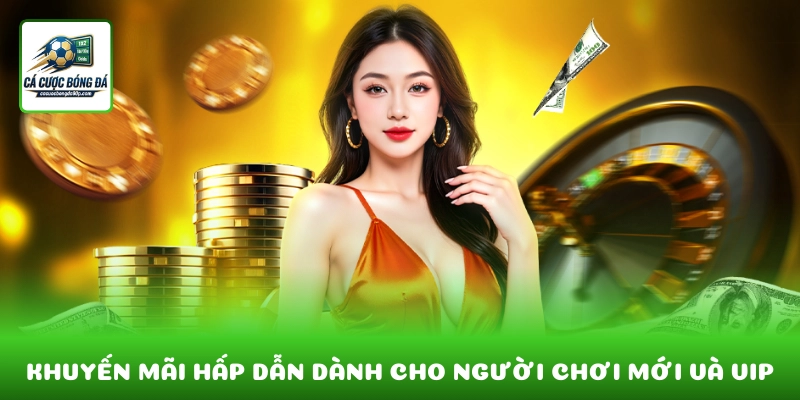 Chương trình khuyến mãi hấp dẫn dành cho người chơi mới và VIP