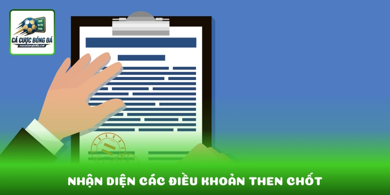 Nhận diện các điều khoản then chốt để tránh hiểu sai quyền lợi