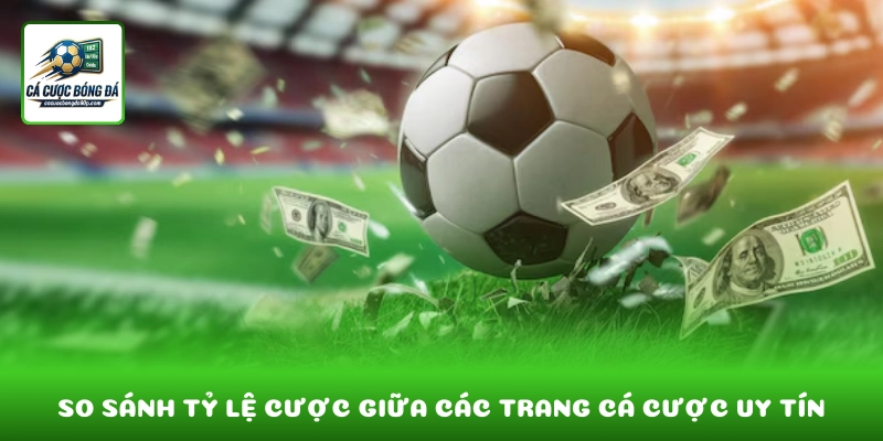 So sánh tỷ lệ cược bóng đá giữa các trang cá cược uy tín