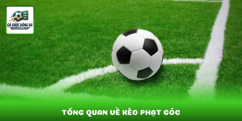 Tổng quan về kèo phạt góc trong cá cược bóng đá