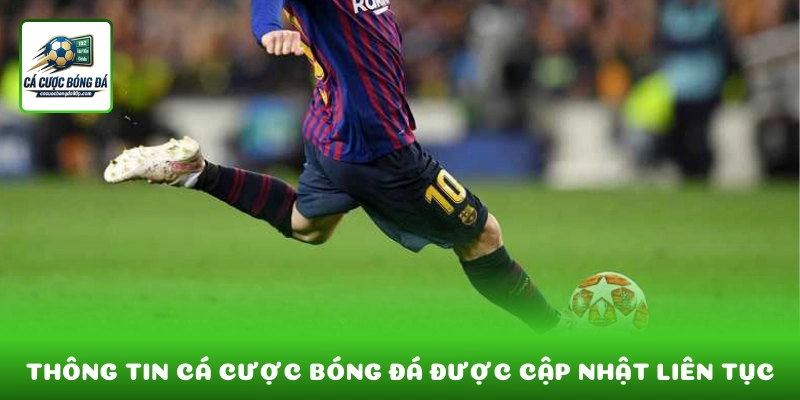 Thông tin cá cược bóng đá được cập nhật liên tục và chính xác