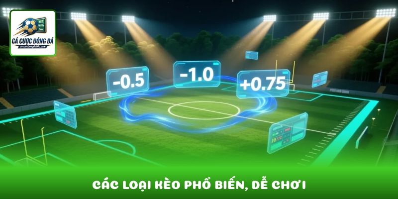 Các loại kèo phổ biến, dễ chơi và phù hợp nhiều chiến lược